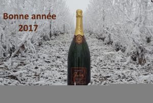 bienvenue-en-2017