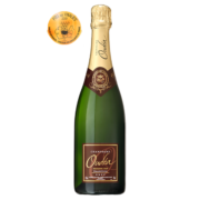 Champagne Tradition Brut Demi-Bouteille